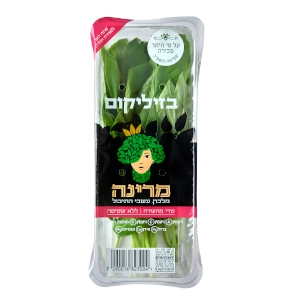בזיליקום freshlid (1יח)